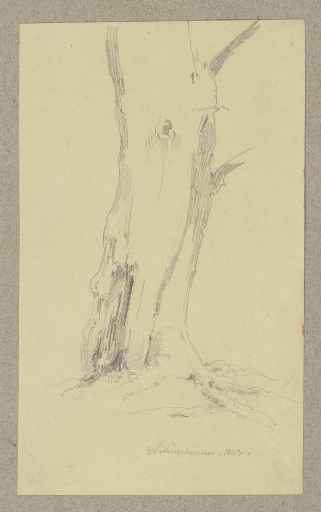 Tree near Willingshausen, Carl Theodor Reiffenstein