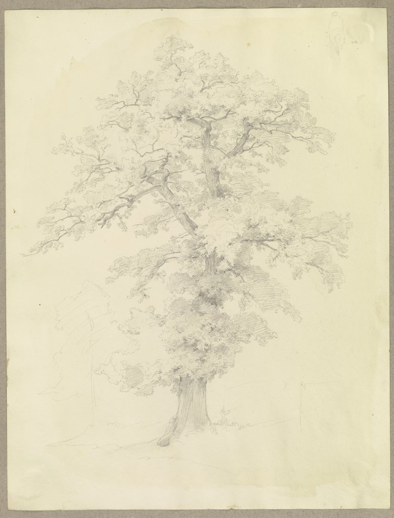 Baum, Carl Theodor Reiffenstein