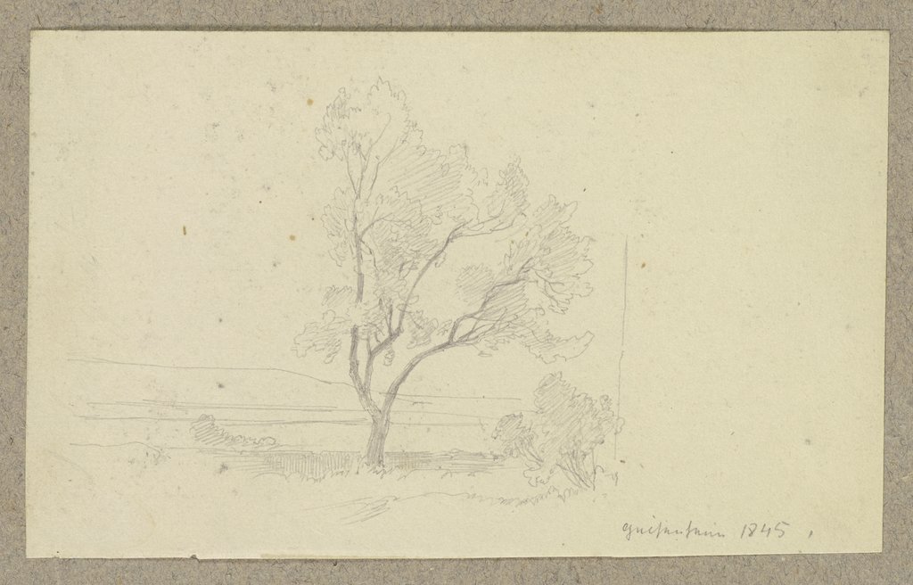 Tree near Geisenheim, Carl Theodor Reiffenstein