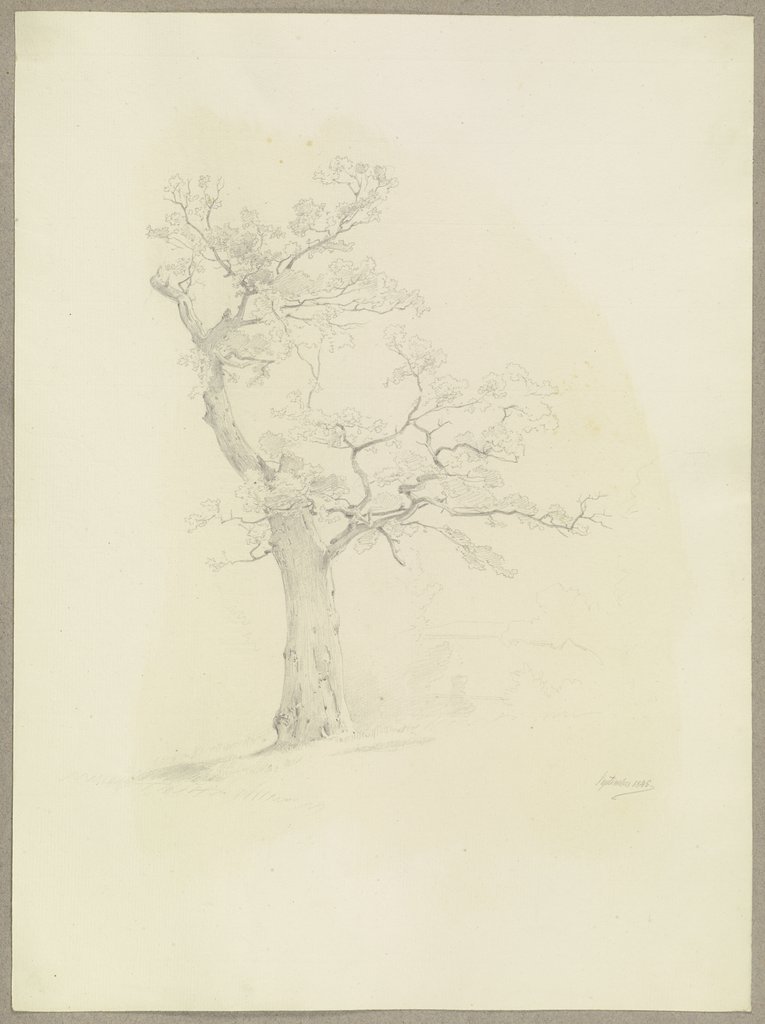 Baum, Carl Theodor Reiffenstein