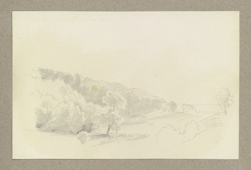 Wiese mit angrenzendem Wald, Carl Theodor Reiffenstein
