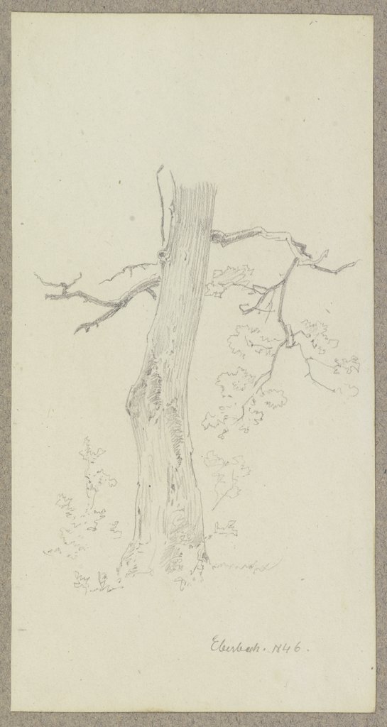 Tree near Eberbaach, Carl Theodor Reiffenstein