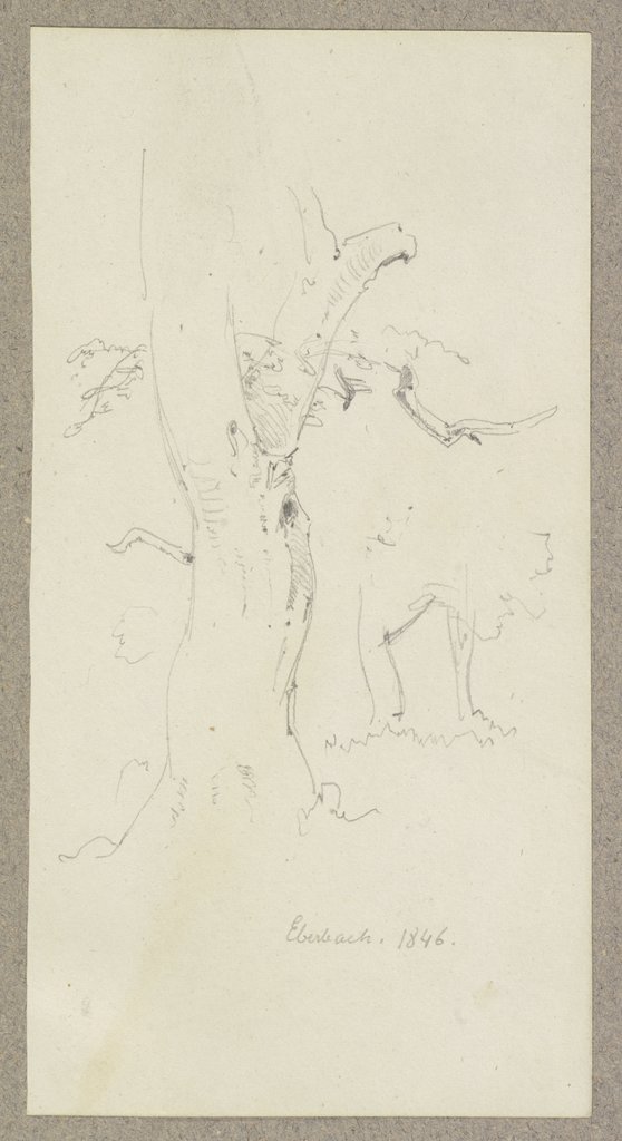 Tree near Eberbaach, Carl Theodor Reiffenstein