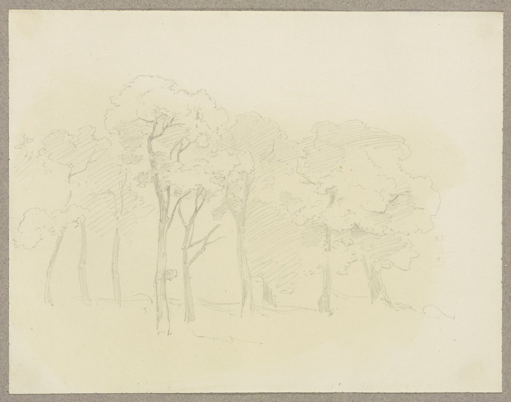 Trees, Carl Theodor Reiffenstein