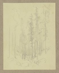 Waldpartie in einer Talsenke, Carl Theodor Reiffenstein