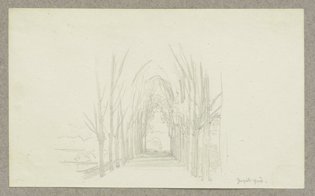 Allee, Carl Theodor Reiffenstein