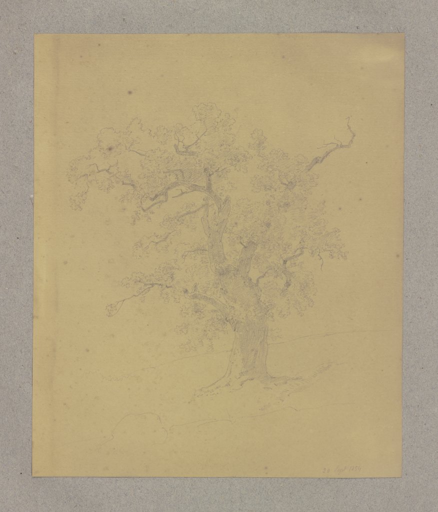 Alter Baum, Carl Theodor Reiffenstein