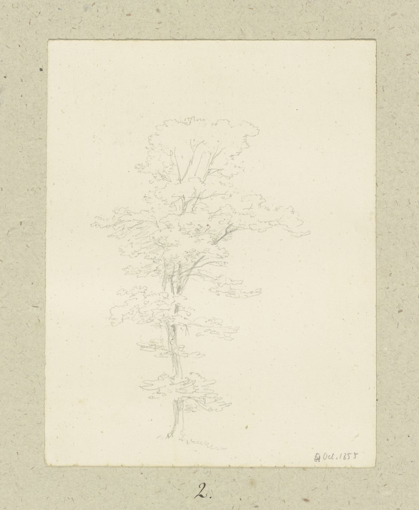 Baum, Carl Theodor Reiffenstein