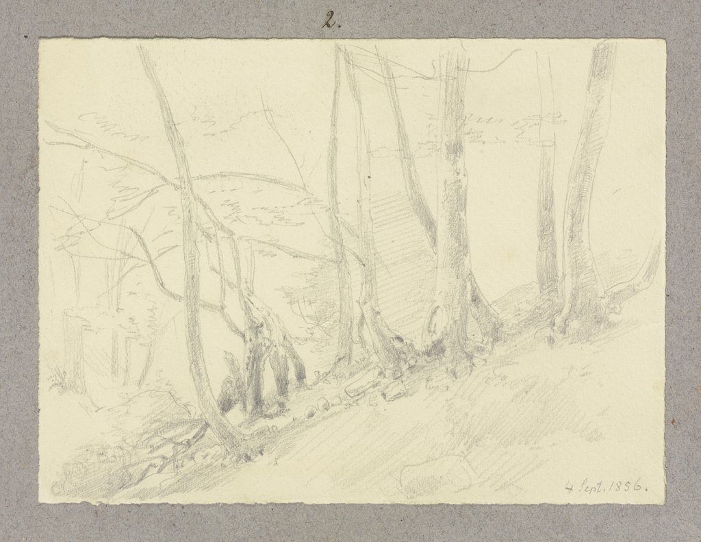 Forest slope, Carl Theodor Reiffenstein