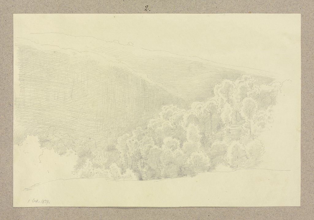 Arborous alpine lanscape, Carl Theodor Reiffenstein