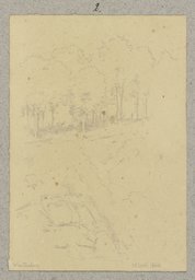 Thicket, Carl Theodor Reiffenstein