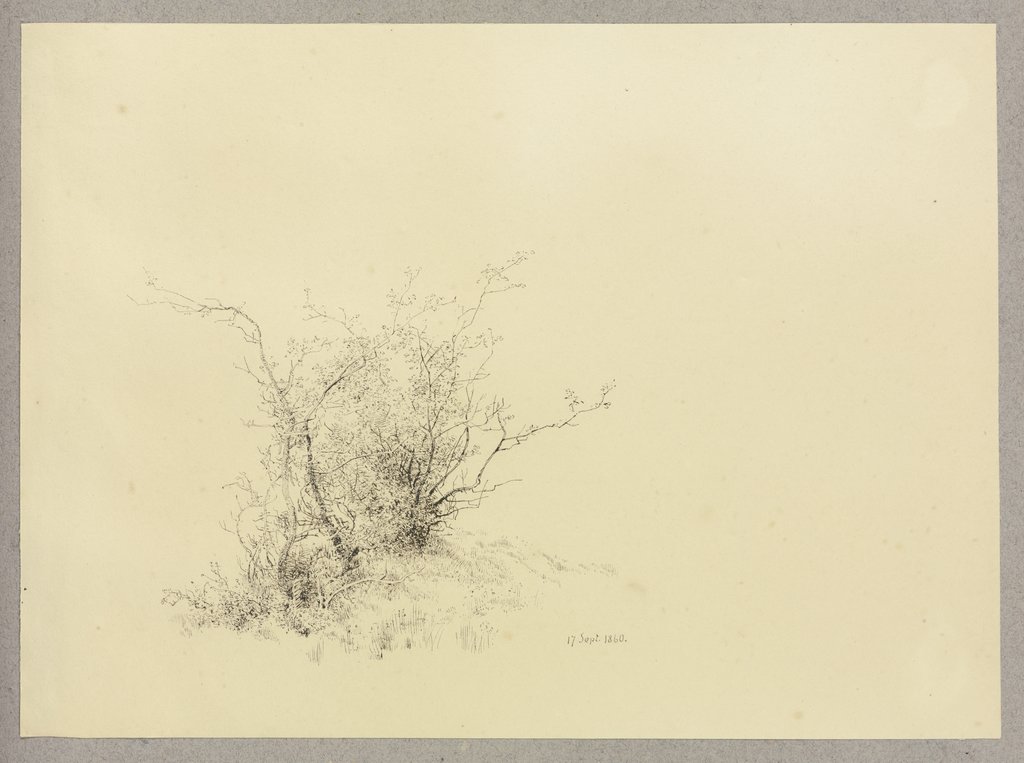 Wood, Carl Theodor Reiffenstein