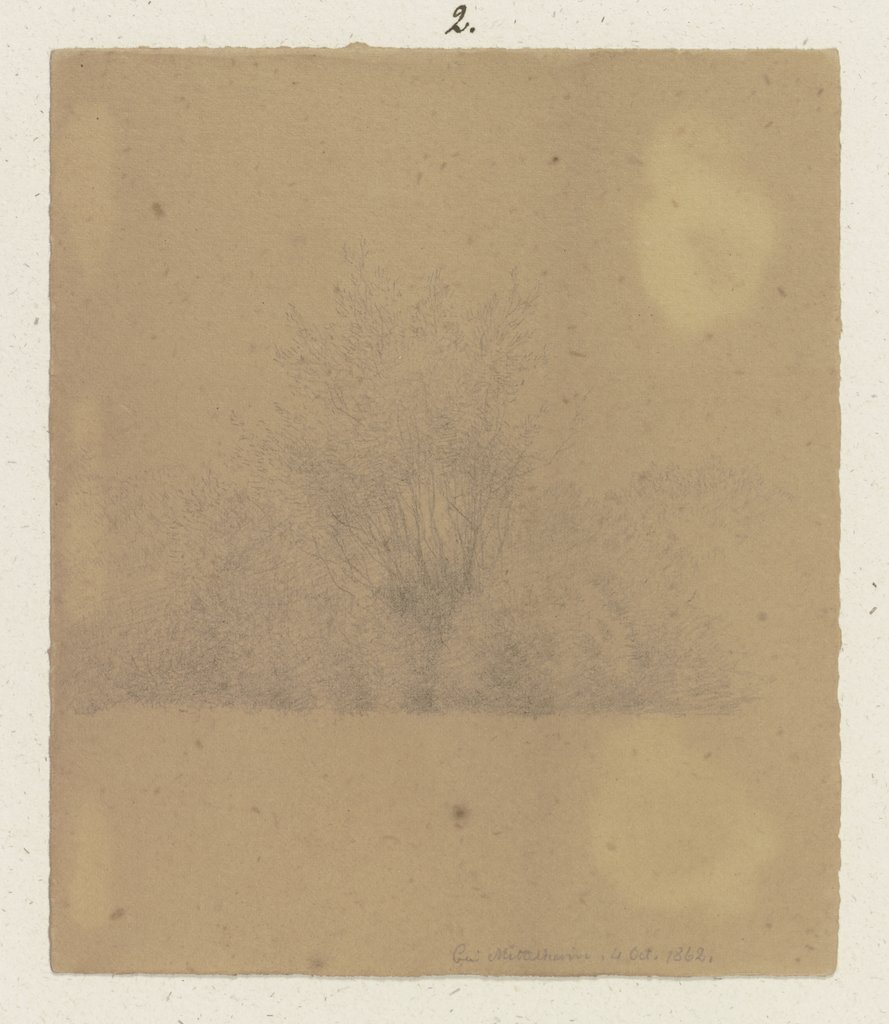 Shrubbery, Carl Theodor Reiffenstein