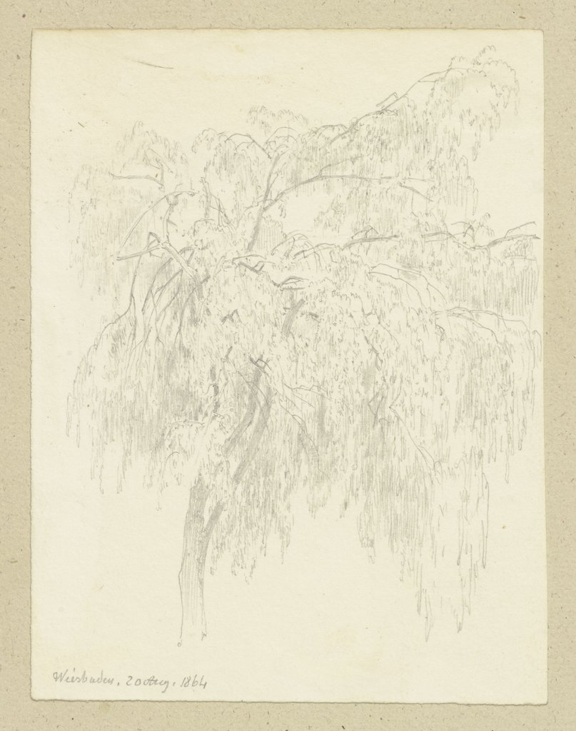 Weeping willow, Carl Theodor Reiffenstein