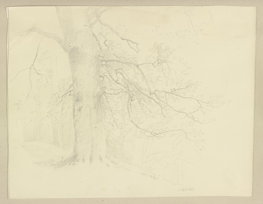 Alter Baum, Carl Theodor Reiffenstein