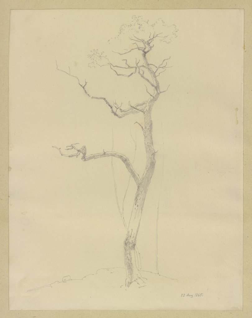 Ein kahler Baum, Carl Theodor Reiffenstein