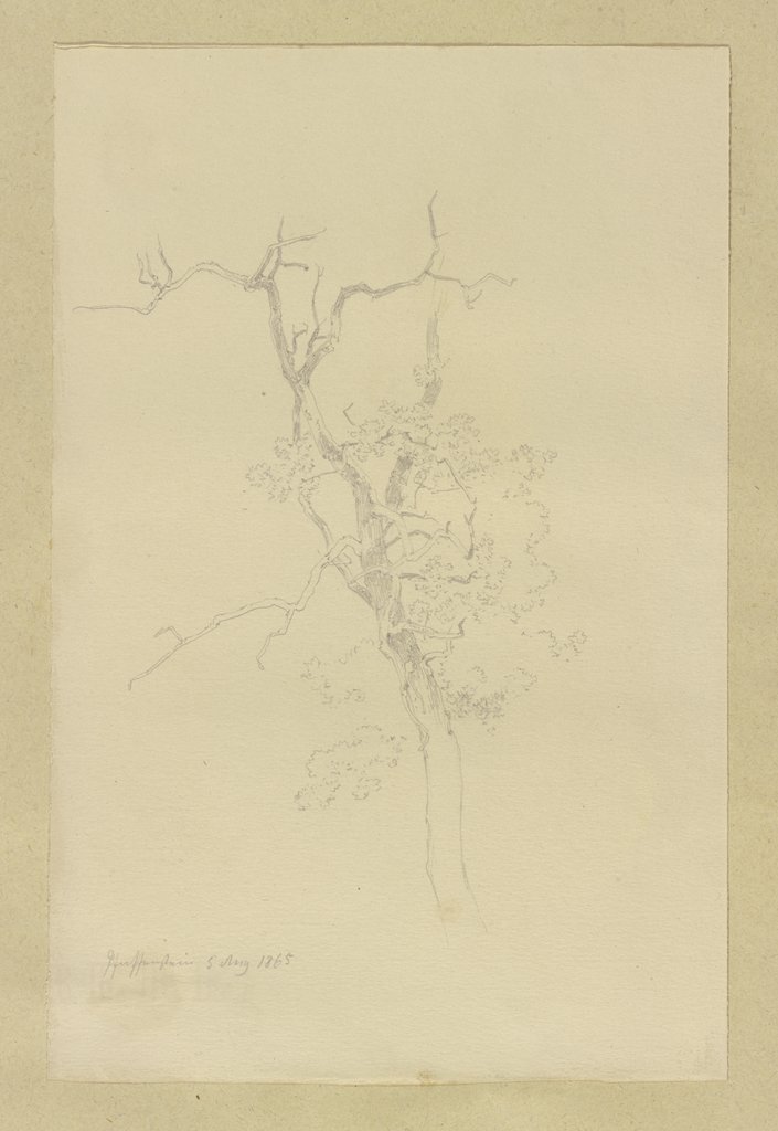 Tree near Arnsburg monastery, Carl Theodor Reiffenstein