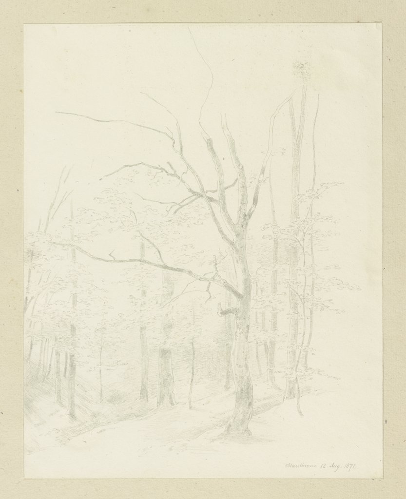 Forest near Maulbronn, Carl Theodor Reiffenstein