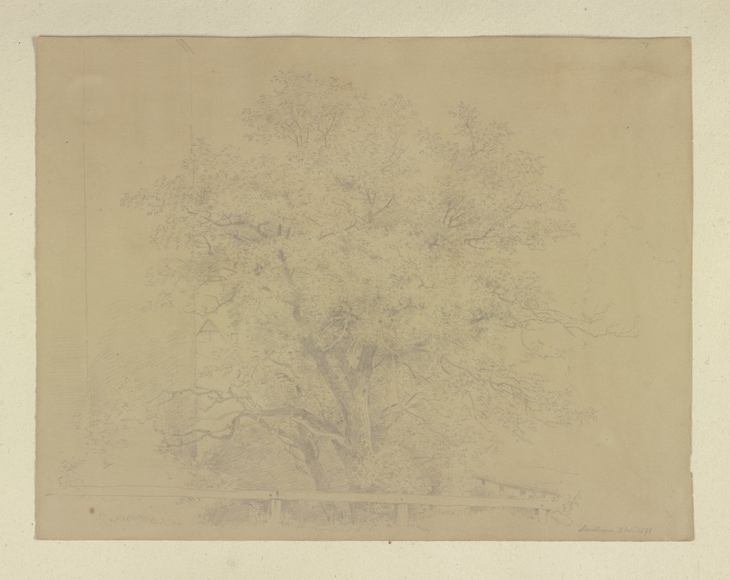 Tree near Maulbronn, Carl Theodor Reiffenstein