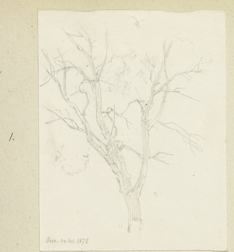 Kahler Baum bei der (Holzhauser?) Oede, Carl Theodor Reiffenstein