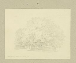 Partie des Schlossgartens in Aschaffenburg, Carl Theodor Reiffenstein
