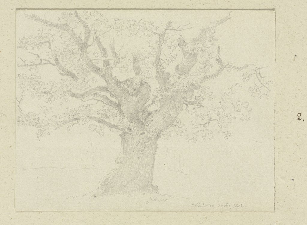 Alter Baum in Wiesbaden, Carl Theodor Reiffenstein