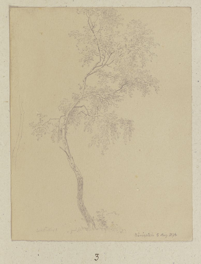 Sapling near Königstein, Carl Theodor Reiffenstein