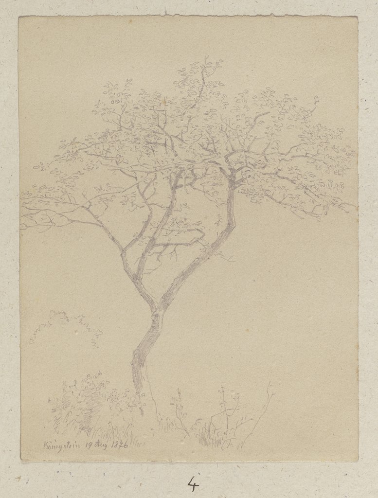 Sapling near Königstein, Carl Theodor Reiffenstein