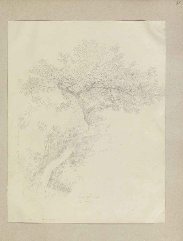 Tree in Kronberg, Carl Theodor Reiffenstein