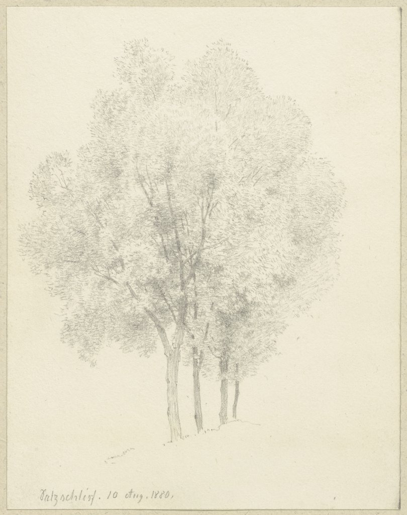 Grove near Salzschlirf, Carl Theodor Reiffenstein