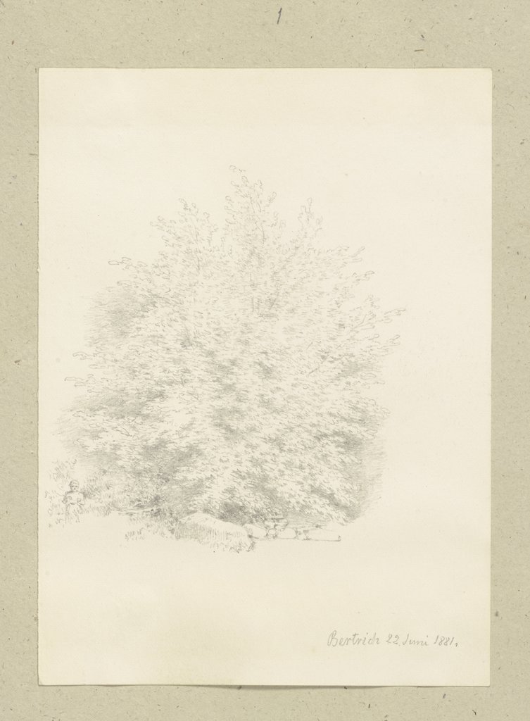 A shrub near Bertrich, Carl Theodor Reiffenstein