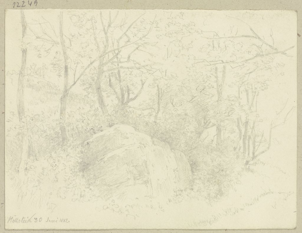 Forest near Höllstein, Carl Theodor Reiffenstein