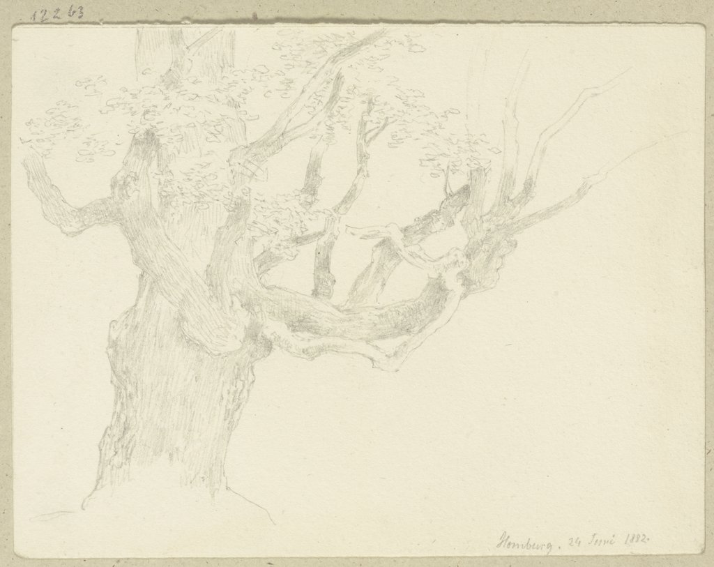 Old tree in Bad Homburg, Carl Theodor Reiffenstein