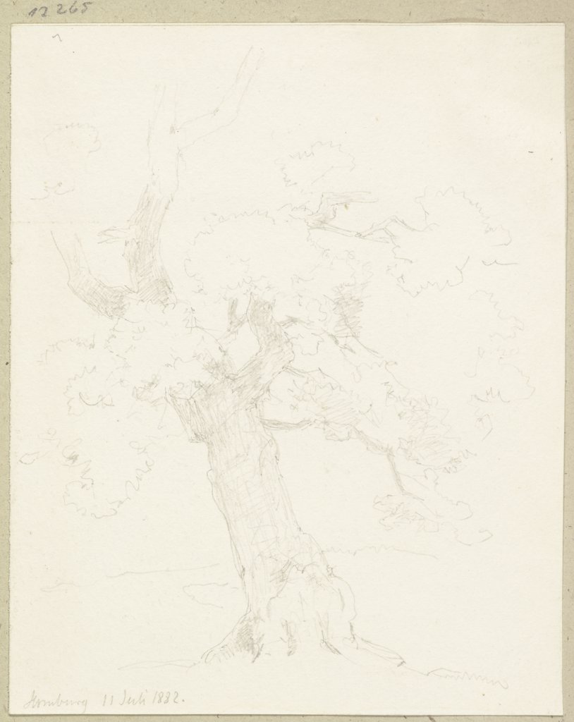 Old tree, Carl Theodor Reiffenstein