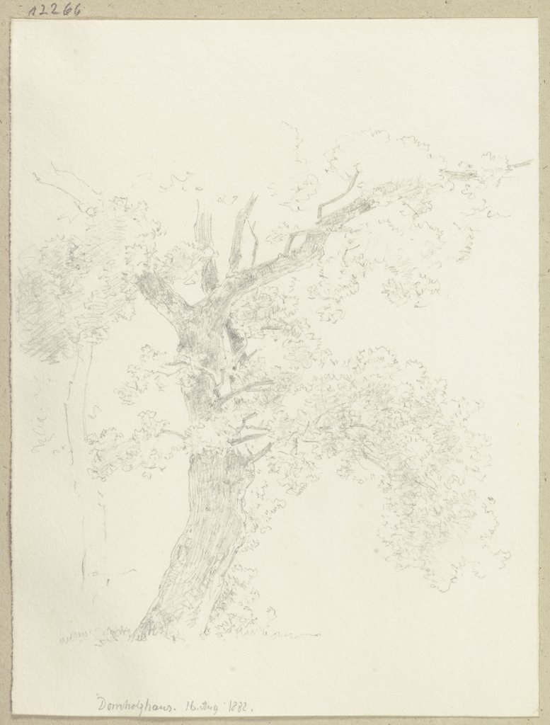 Alter Baum, Carl Theodor Reiffenstein