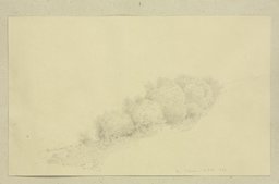 Bushes near Filsen, Carl Theodor Reiffenstein