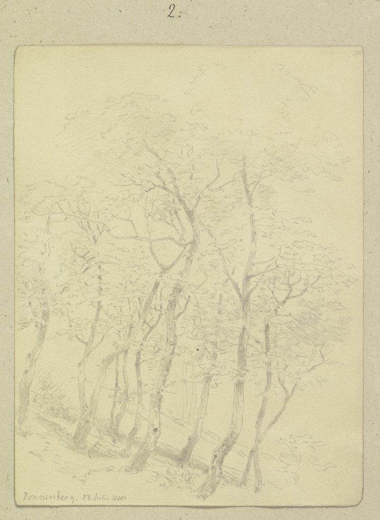 Forest at Donnersberg, Carl Theodor Reiffenstein