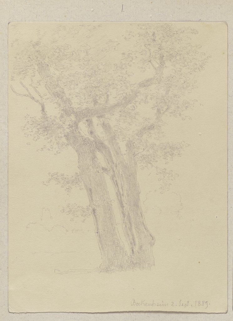 Pair of trees, Carl Theodor Reiffenstein