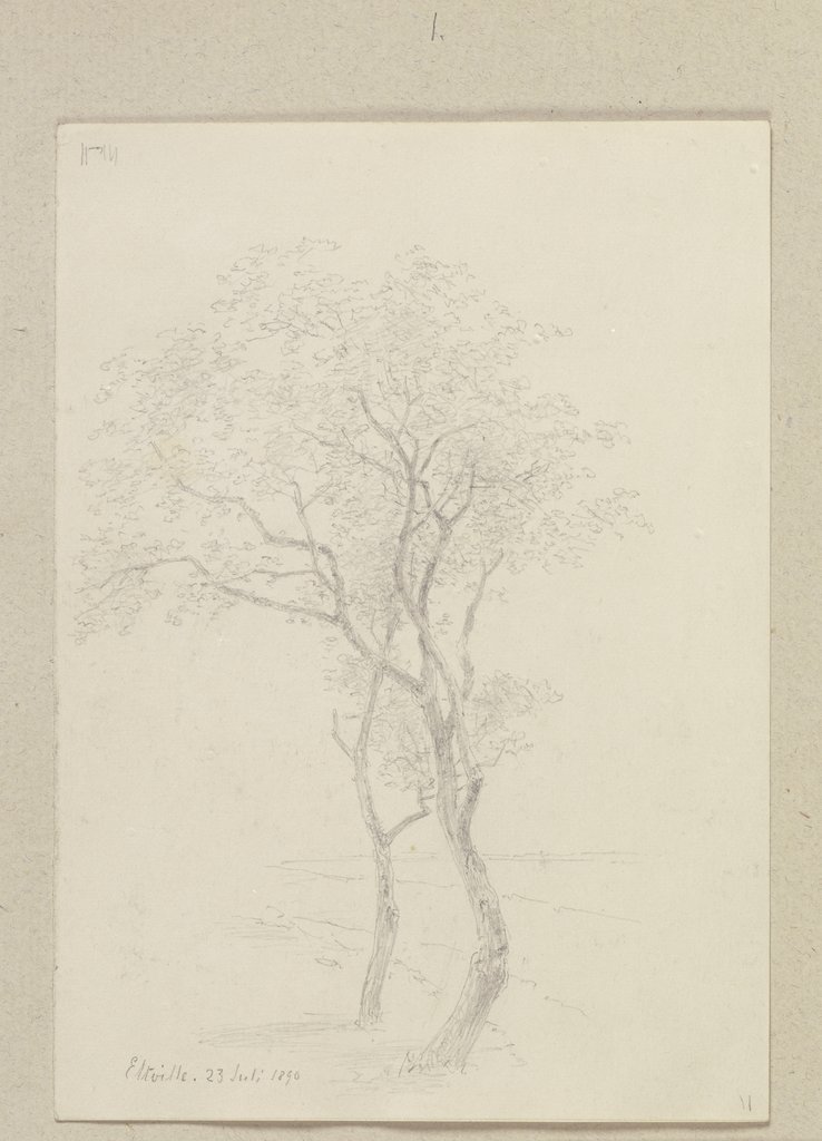 Two trees, Carl Theodor Reiffenstein