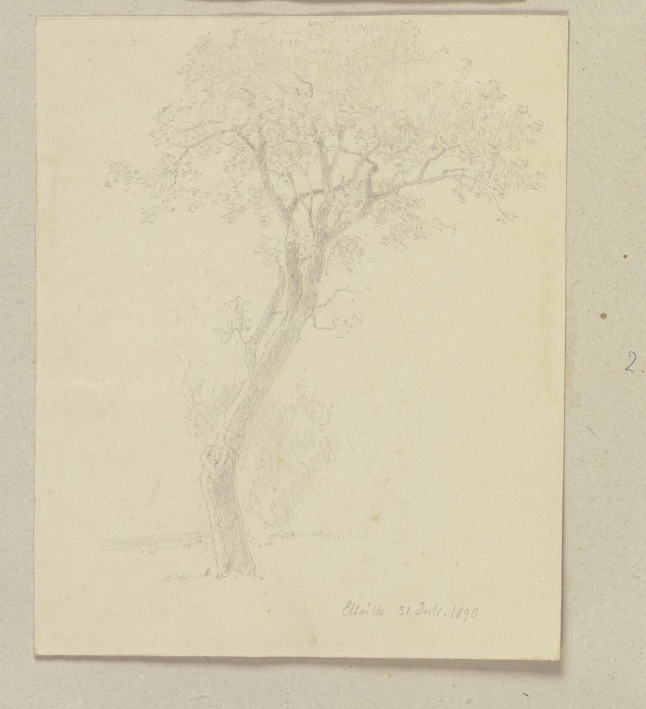 Ein Baum, Carl Theodor Reiffenstein