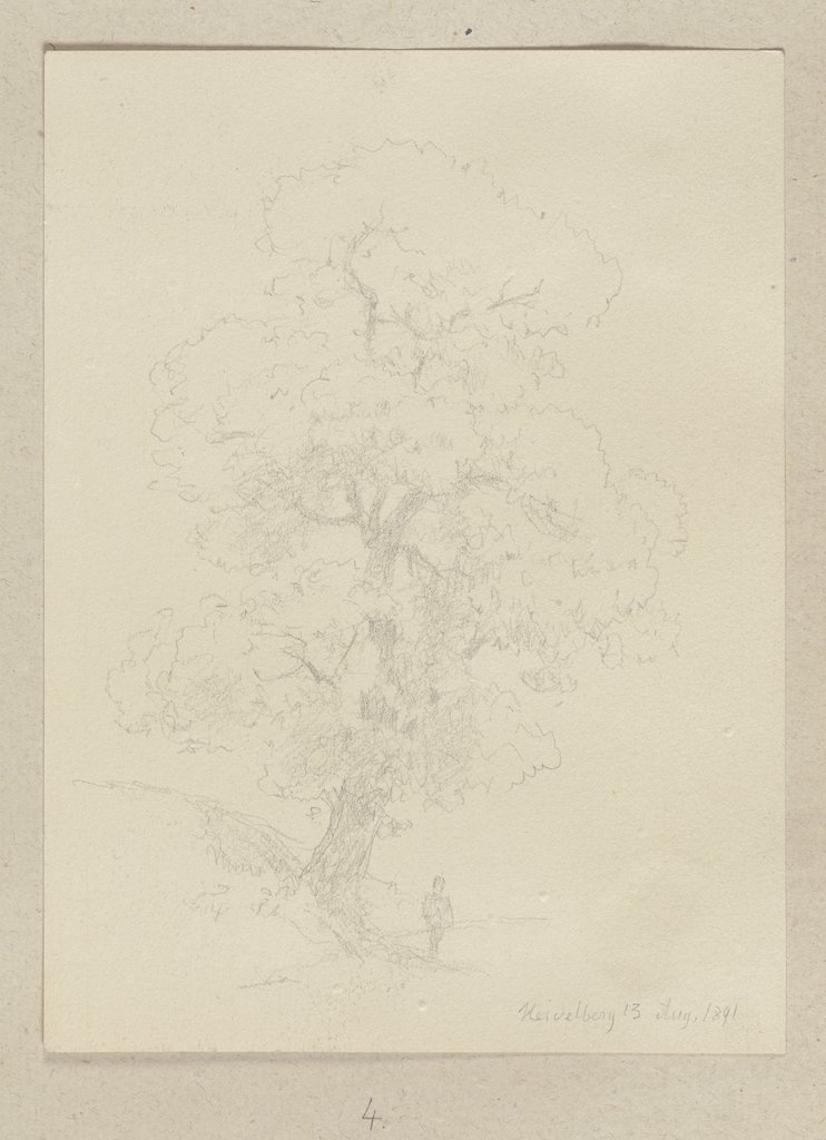 Tree, Carl Theodor Reiffenstein