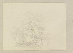 Baumgruppe hinter einem Mäuerchen in Bacharach, Carl Theodor Reiffenstein