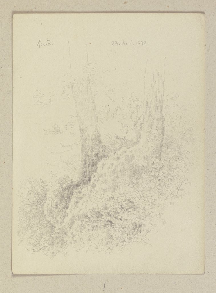 Forest near Eppstein, Carl Theodor Reiffenstein