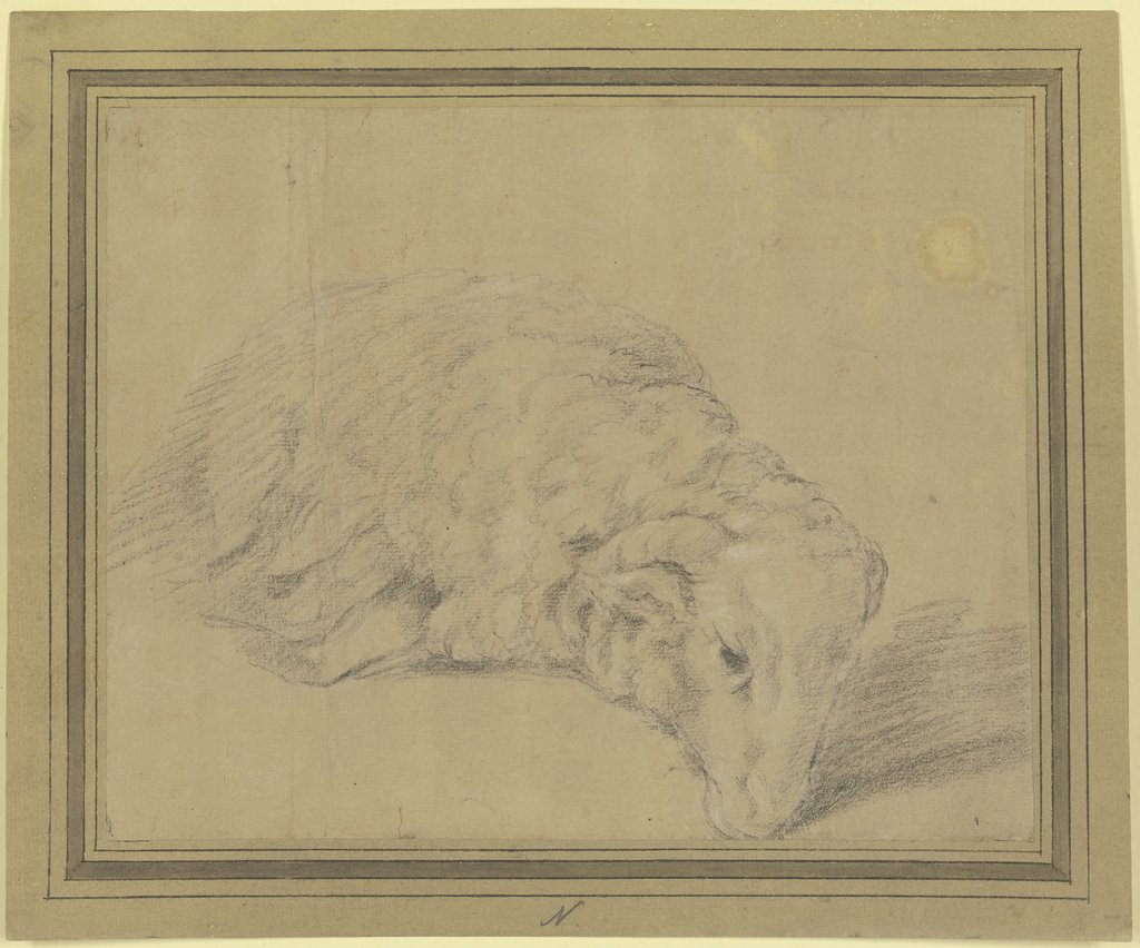 Lying sheep, Federico Barocci;   ?