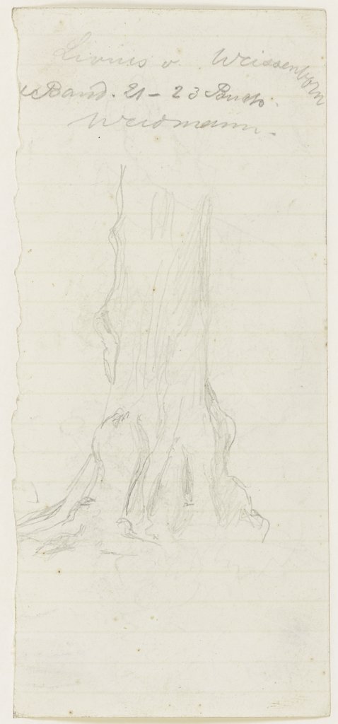 Tree trunk, Jakob Becker