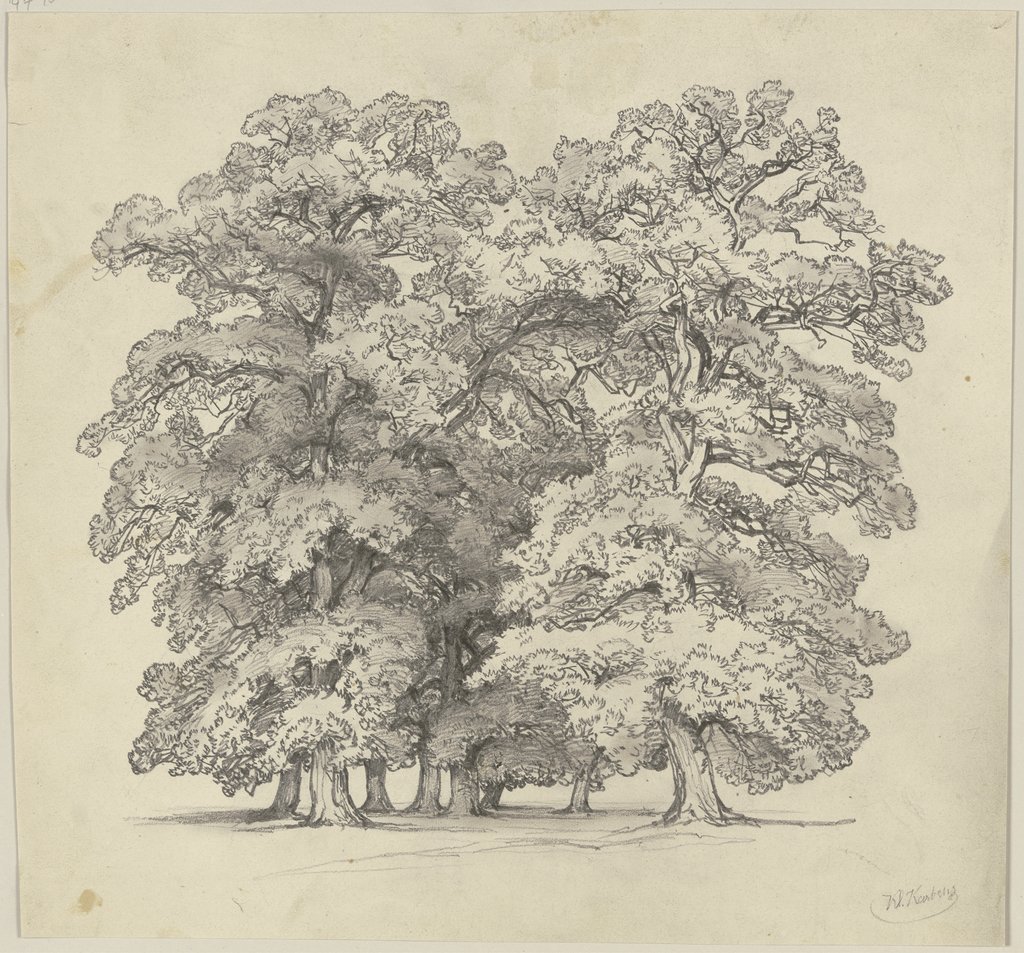 Baumschlag, Jakob Becker