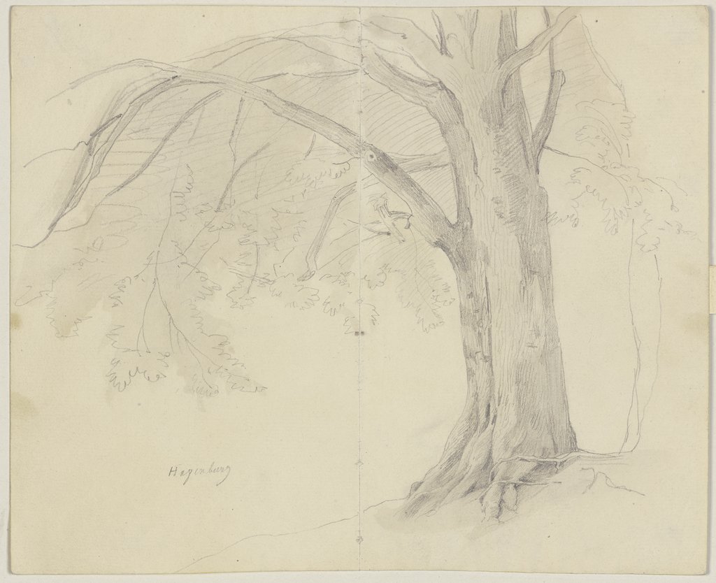 Tree in Hagenburg, Jakob Becker