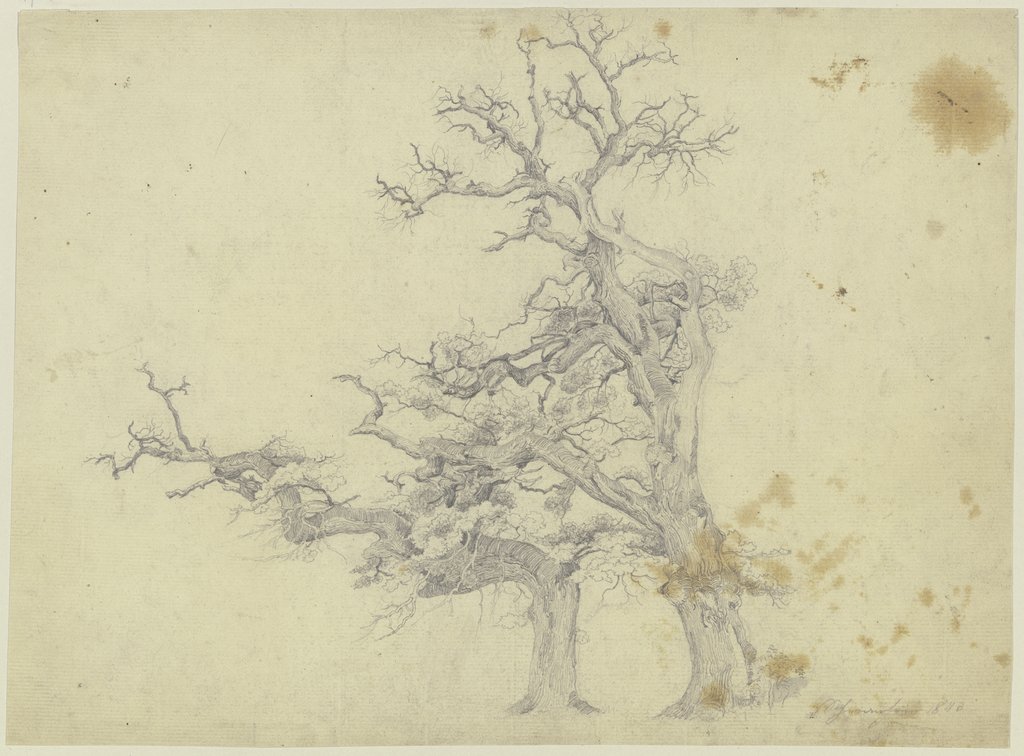 Two old trees, Jakob Becker