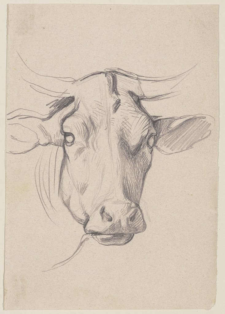 Head of a cow, Jakob Becker