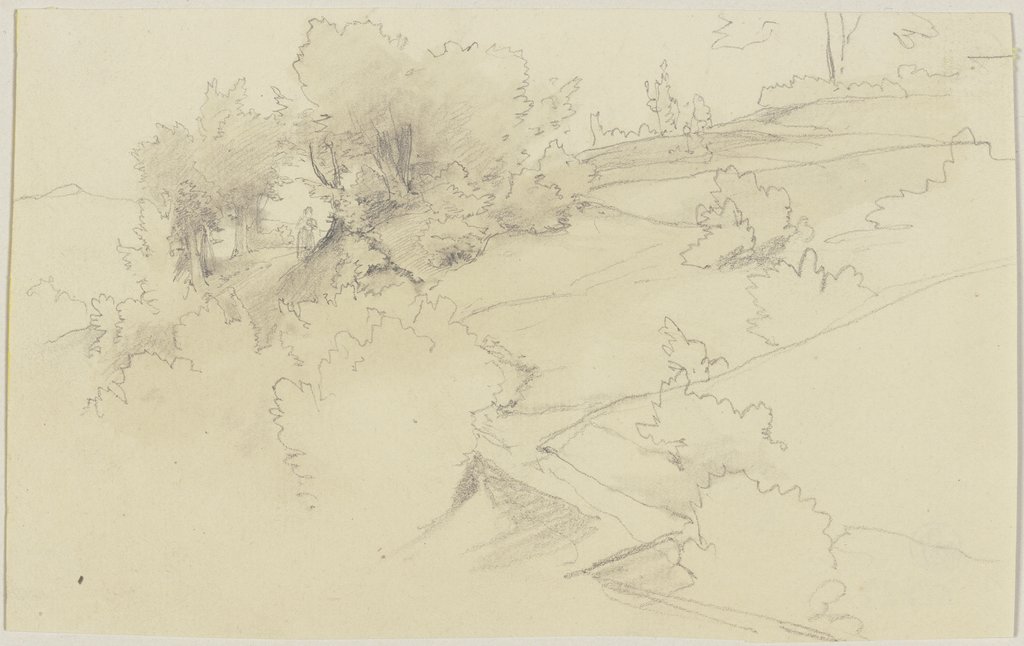 Wiesenlandschaft mit Bäumen, Jakob Becker